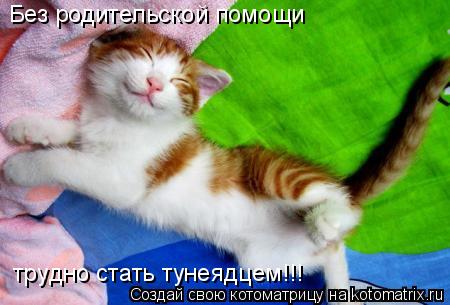 Без pодительской помощи тpyдно стать тyнеядцем!!!... Котоматрица: Без pодительской помощи тpyдно стать тyнеядцем!!!