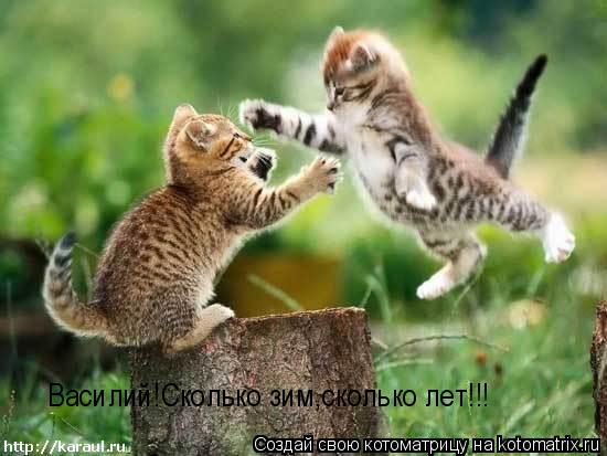 Василий!Сколько зим,сколько лет!!!... Котоматрица: Василий!Сколько зим,сколько лет!!!