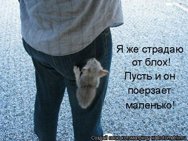Я же страдаю от блох! Пусть и он поерзает маленько!... Котоматрица: Я же страдаю от блох! Пусть и он поерзает маленько!