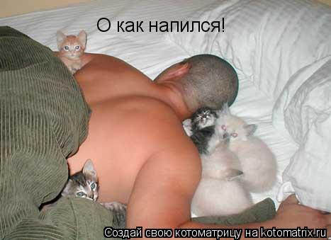 О как напился!... Котоматрица: О как напился!