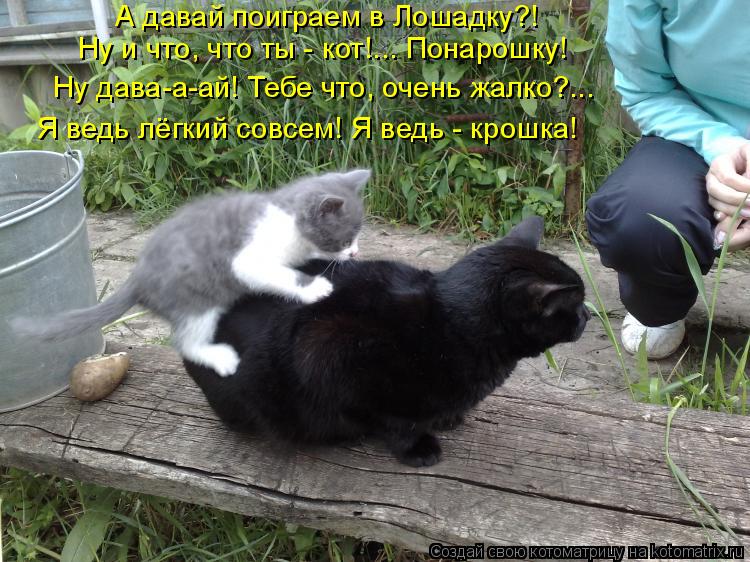 А давай поиграем в Лошадку?! Ну и что, что ты - кот!... Понарошку! Ну дава-а-ай! Тебе что, очень жалк... Котоматрица: А давай поиграем в Лошадку?! Ну и что, что ты - кот!... Понарошку! Ну дава-а-ай! Тебе что, очень жалко?... Я ведь лёгкий совсем! Я ведь - крошка!