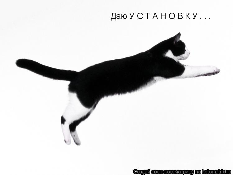 Даю У С Т А Н О В К У . . .... Котоматрица: Даю У С Т А Н О В К У . . .