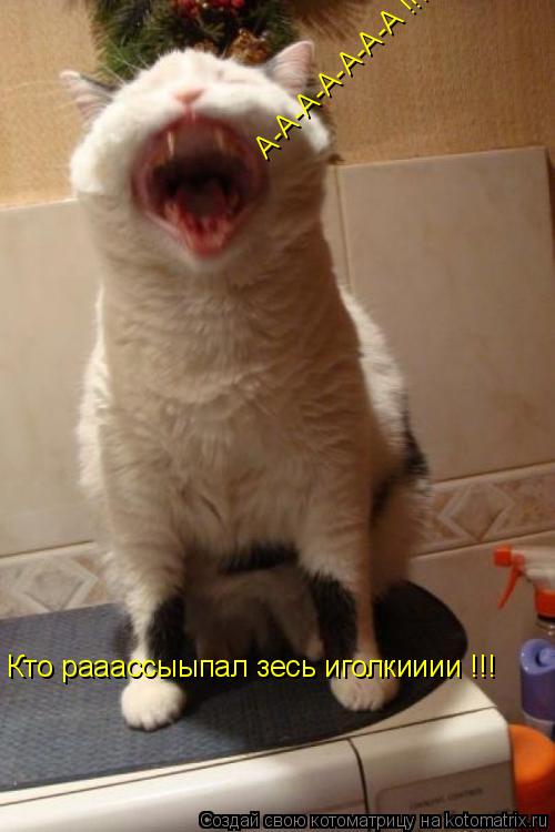 Кто рааассыыпал зесь иголкииии !!! А-А-А-А-А-А-А !!!... Котоматрица: Кто рааассыыпал зесь иголкииии !!! А-А-А-А-А-А-А !!!