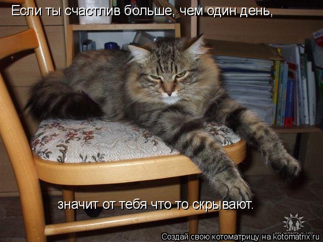 Котоматрица: Если ты счастлив больше, чем один день,   значит от тебя что то скрывают.
