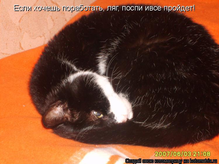 Если хочешь поработать, ляг, поспи ивсе пройдет!... Котоматрица: Если хочешь поработать, ляг, поспи ивсе пройдет!