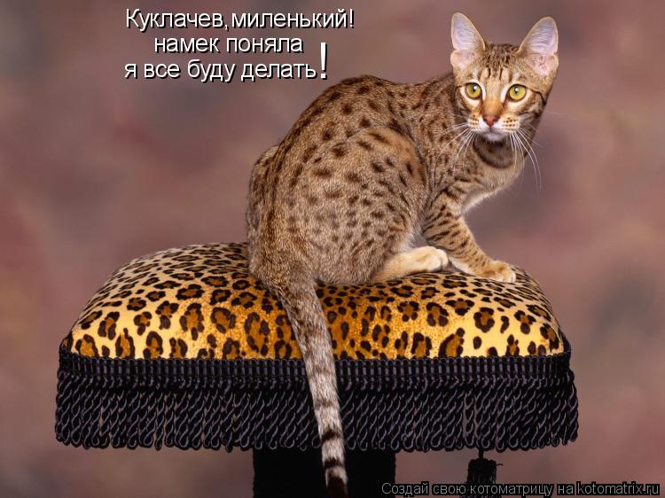 Куклачев,миленький! намек поняла я все буду делать !... Котоматрица: Куклачев,миленький! намек поняла я все буду делать !