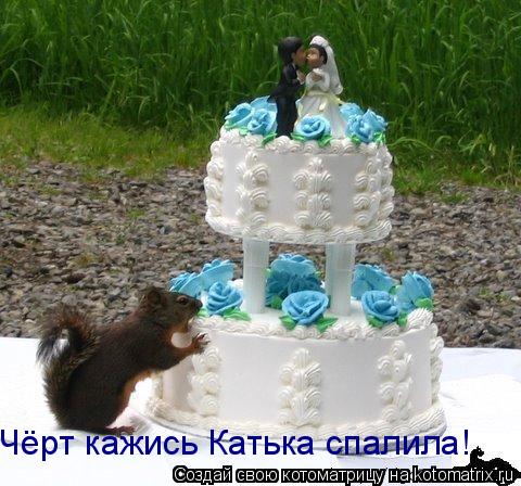Чёрт кажись Катька спалила!... Котоматрица: Чёрт кажись Катька спалила!