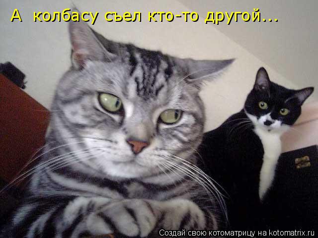 А колбасу съел кто-то другой...... Котоматрица: А колбасу съел кто-то другой...