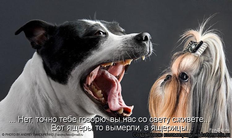 ... Нет, точно тебе говорю: вы нас со свету сживёте... Вот ящеры то вымерли, а ящерицы...... Котоматрица: ... Нет, точно тебе говорю: вы нас со свету сживёте... Вот ящеры то вымерли, а ящерицы...