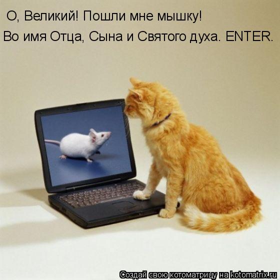 О, Великий! Пошли мне мышку! Во имя Отца, Сына и Святого духа. ENTER.... Котоматрица: О, Великий! Пошли мне мышку! Во имя Отца, Сына и Святого духа. ENTER.