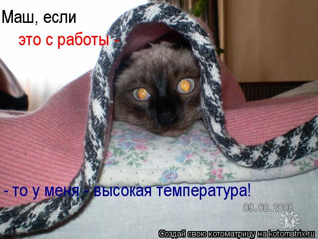 - то у меня - высокая температура! Маш, если это с работы -... Котоматрица: - то у меня - высокая температура! Маш, если это с работы -