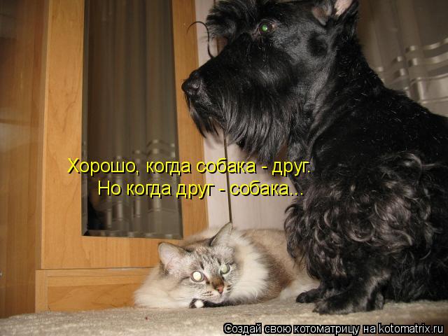 Хорошо, когда собака - друг. Но когда друг - собака...... Котоматрица: Хорошо, когда собака - друг. Но когда друг - собака...