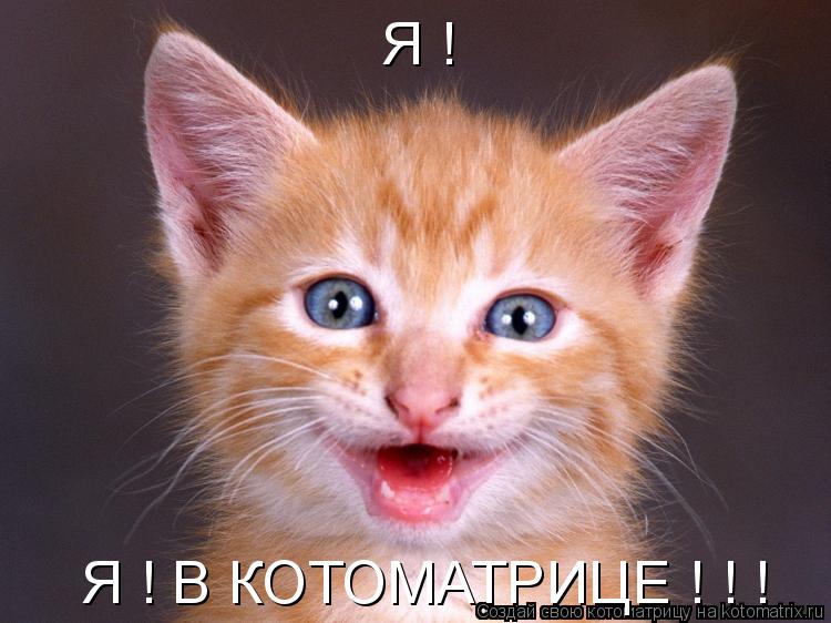 Я ! Я ! В КОТОМАТРИЦЕ ! ! !... Котоматрица: Я ! Я ! В КОТОМАТРИЦЕ ! ! !