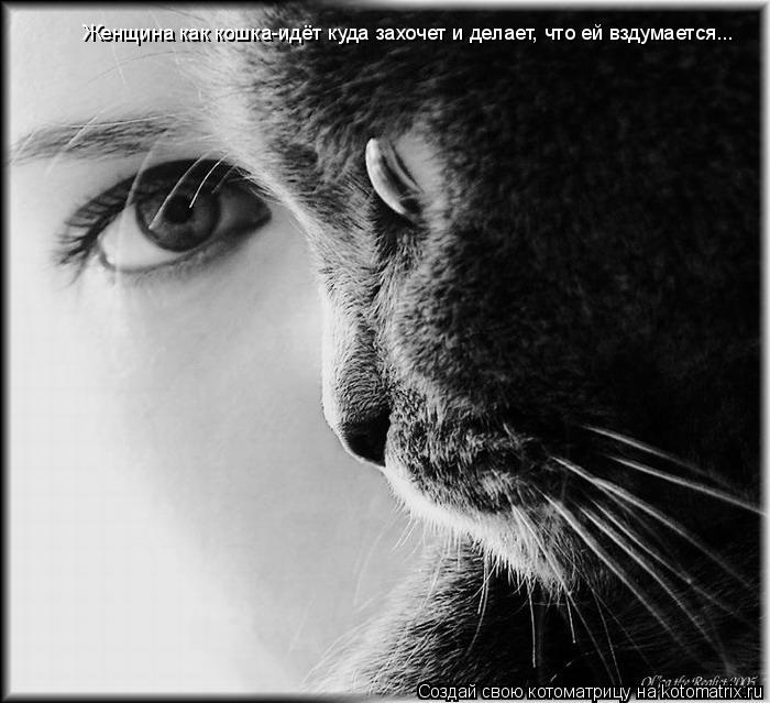Женщина как кошка-идёт куда захочет и делает, что ей вздумается...... Котоматрица: Женщина как кошка-идёт куда захочет и делает, что ей вздумается...