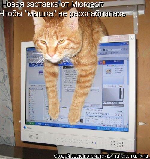 Новая заставка от Microsoft Чтобы "мышка" не расслаблялась... Котоматрица: Новая заставка от Microsoft Чтобы "мышка" не расслаблялась