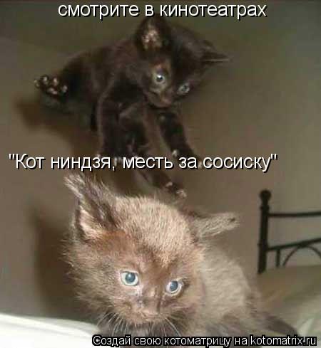смотрите в кинотеатрах "Кот ниндзя, месть за сосиску"... Котоматрица: смотрите в кинотеатрах "Кот ниндзя, месть за сосиску"