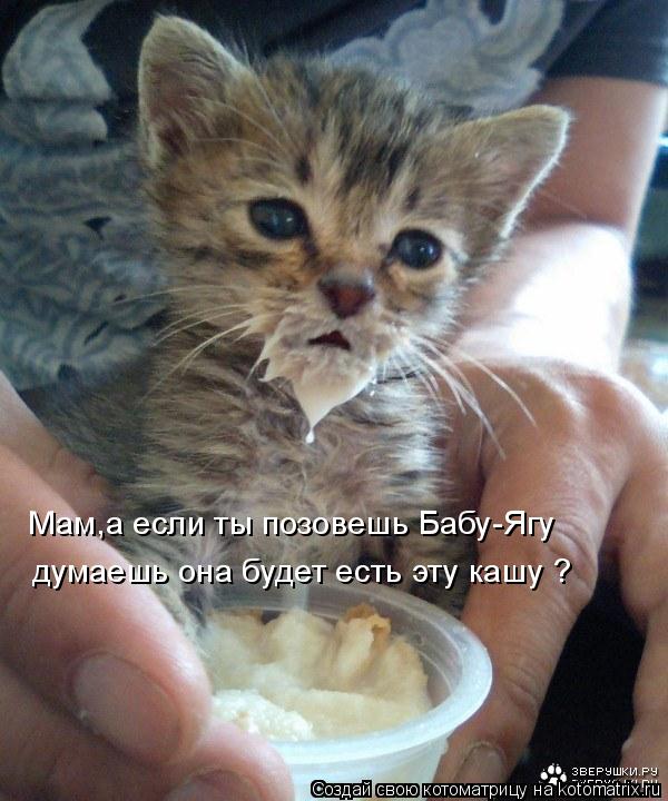 Мам,а если ты позовешь Бабу-Ягу думаешь она будет есть эту кашу ?... Котоматрица: Мам,а если ты позовешь Бабу-Ягу думаешь она будет есть эту кашу ?
