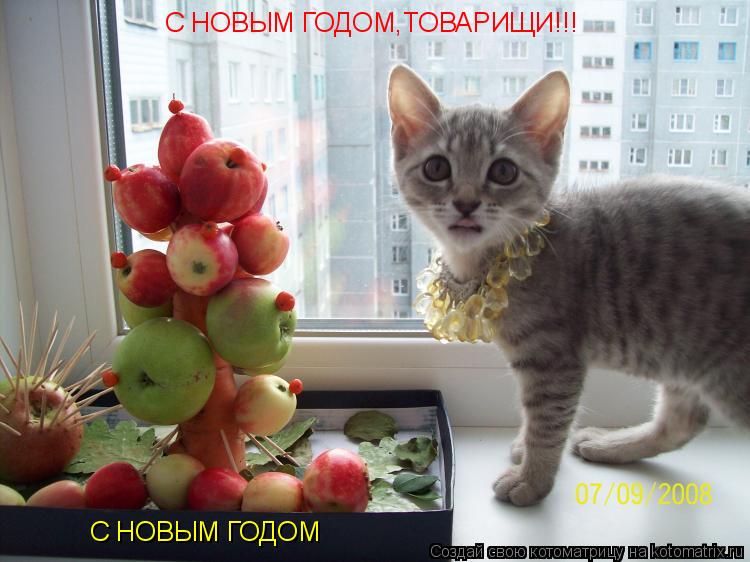 С НОВЫМ ГОДОМ,ТОВАРИЩИ!!! С НОВЫМ ГОДОМ... Котоматрица: С НОВЫМ ГОДОМ,ТОВАРИЩИ!!! С НОВЫМ ГОДОМ