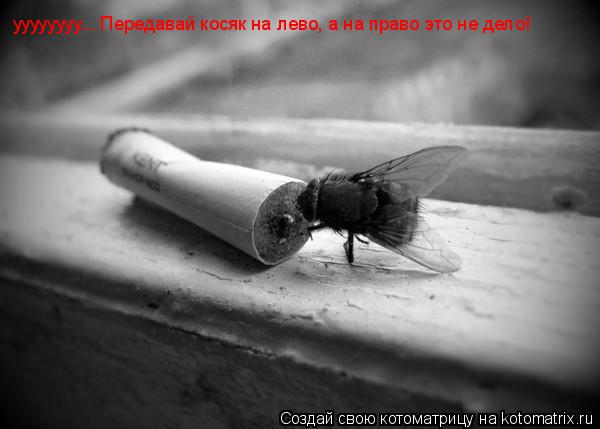 уууууууу... Передавай косяк на лево, а на право это не дело!... Котоматрица: уууууууу... Передавай косяк на лево, а на право это не дело!