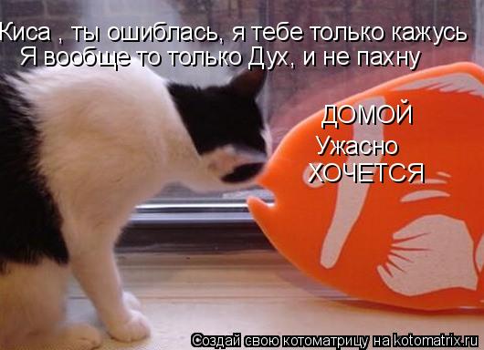 Киса , ты ошиблась, я тебе только кажусь Я вообще то только Дух, и не пахну ДОМОЙ Ужасно ХОЧЕТСЯ... Котоматрица: Киса , ты ошиблась, я тебе только кажусь Я вообще то только Дух, и не пахну ДОМОЙ Ужасно ХОЧЕТСЯ