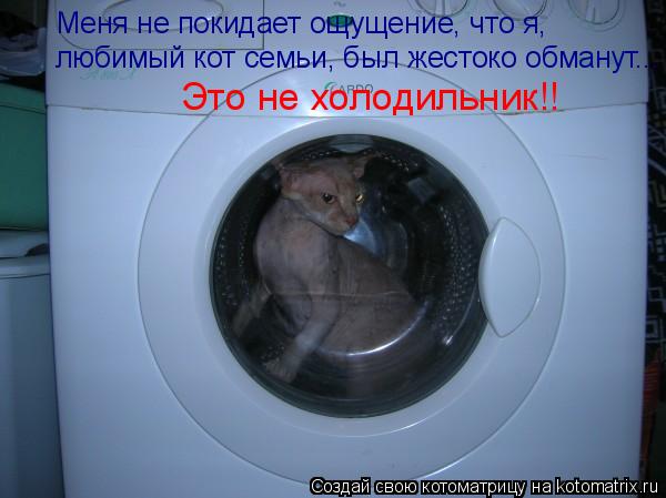 Меня не покидает ощущение, что я, любимый кот семьи, был жестоко обманут... Это не холодильник!!... Котоматрица: Меня не покидает ощущение, что я, любимый кот семьи, был жестоко обманут... Это не холодильник!!