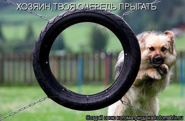 ХОЗЯИН,ТВОЯ ОЧЕРЕДЬ ПРЫГАТЬ... Котоматрица: ХОЗЯИН,ТВОЯ ОЧЕРЕДЬ ПРЫГАТЬ