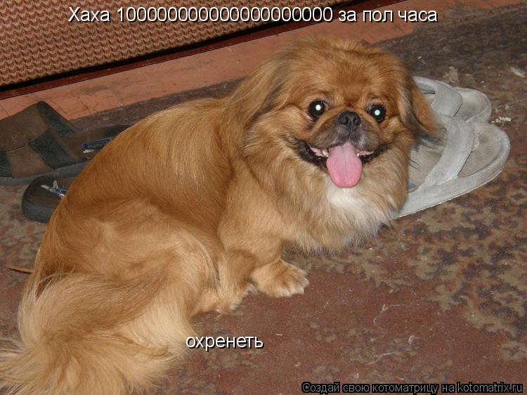 Хаха 100000000000000000000 за пол часа охренеть... Котоматрица: Хаха 100000000000000000000 за пол часа охренеть