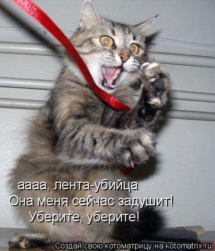 аааа, лента-убийца Она меня сейчас задушит! Уберите, уберите!... Котоматрица: аааа, лента-убийца Она меня сейчас задушит! Уберите, уберите!