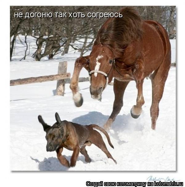 Котоматрица: не догоню так хоть согреюсь