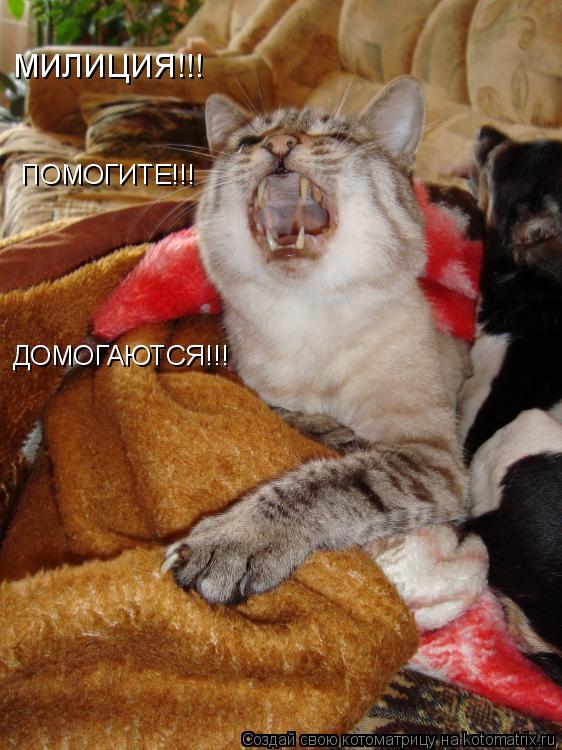 ПОМОГИТЕ!!! ДОМОГАЮТСЯ!!! МИЛИЦИЯ!!!... Котоматрица: ПОМОГИТЕ!!! ДОМОГАЮТСЯ!!! МИЛИЦИЯ!!!
