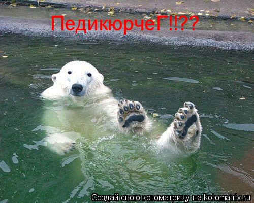 Котоматрица: ПедикюрчеГ!!??