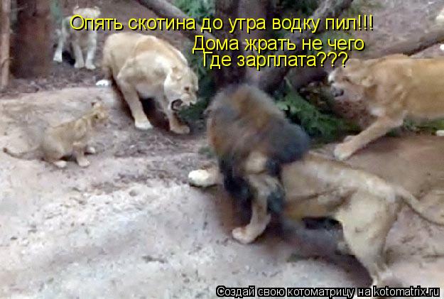 Опять скотина до утра водку пил!!! Дома жрать не чего Где зарплата???... Котоматрица: Опять скотина до утра водку пил!!! Дома жрать не чего Где зарплата???