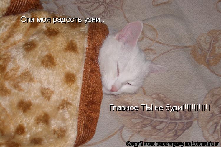 Котоматрица: Спи моя радость усни.. Главное ТЫ не буди!!!!!!!!!!!!