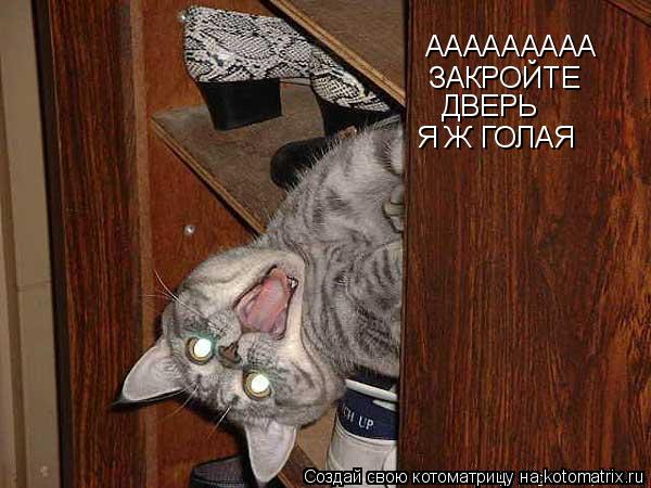 ААААААААА ЗАКРОЙТЕ ДВЕРЬ Я Ж ГОЛАЯ... Котоматрица: ААААААААА ЗАКРОЙТЕ ДВЕРЬ Я Ж ГОЛАЯ
