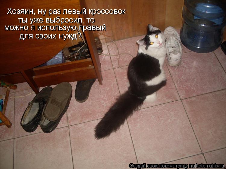 Хозяин, ну раз левый кроссовок ты уже выбросил, то можно я использую правый для своих нужд?... Котоматрица: Хозяин, ну раз левый кроссовок ты уже выбросил, то можно я использую правый для своих нужд?