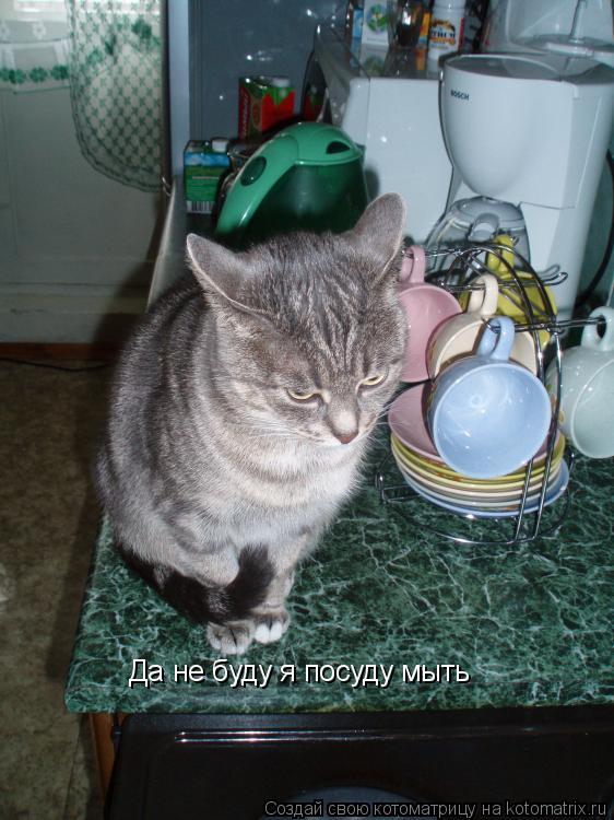Да не буду я посуду мыть... Котоматрица: Да не буду я посуду мыть