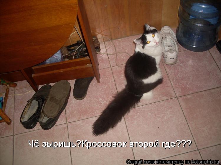 Чё зыришь?Кроссовок второй где???... Котоматрица: Чё зыришь?Кроссовок второй где???