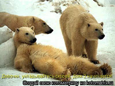 Девочки, укладывайтесь скорей. Дом-2 начинается.... Котоматрица: Девочки, укладывайтесь скорей. Дом-2 начинается.