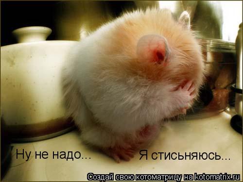 Ну не надо... Я стисьняюсь...... Котоматрица: Ну не надо... Я стисьняюсь...