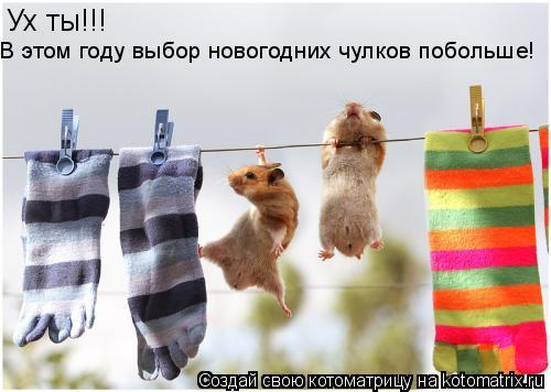 Ух ты!!! В этом году выбор новогодних чулков побольше!... Котоматрица: Ух ты!!! В этом году выбор новогодних чулков побольше!