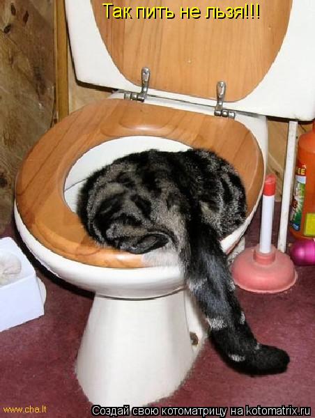 Котоматрица: Так пить не льзя!!!