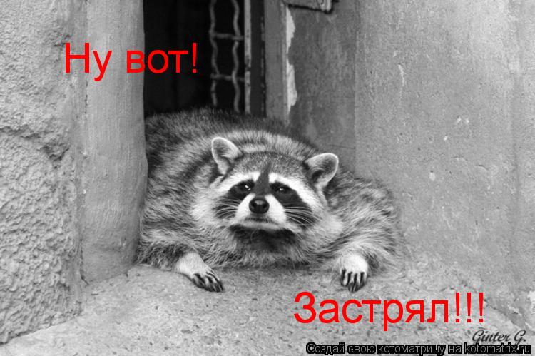Котоматрица: Ну вот! Застрял!!!