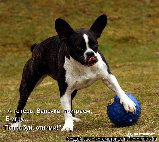 А теперь, Ванечка, поиграем... В игру... "Попробуй, отними!"... Котоматрица: А теперь, Ванечка, поиграем... В игру... "Попробуй, отними!"