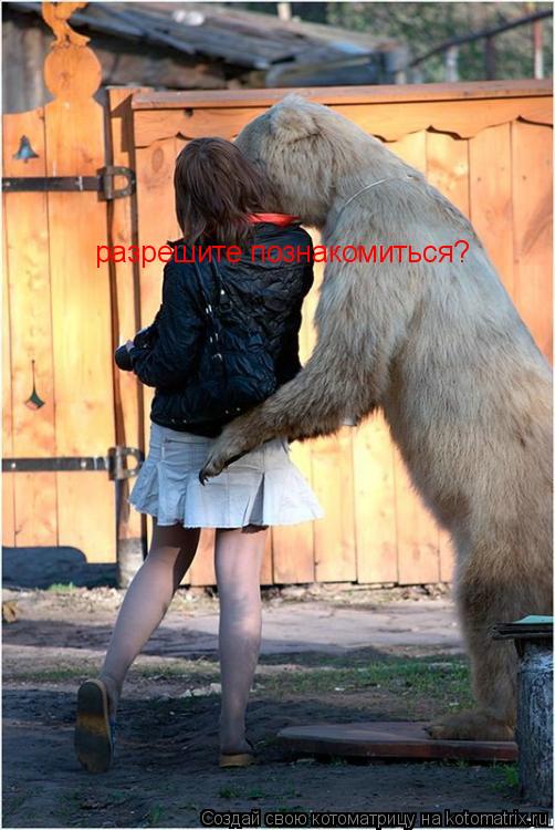 разрешите познакомиться?... Котоматрица: разрешите познакомиться?