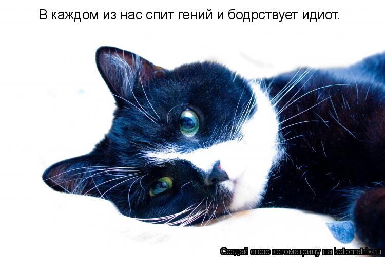 Котоматрица: В каждом из нас спит гений и бодрствует идиот.
