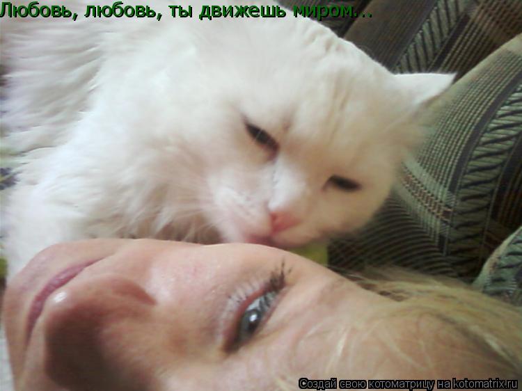 Любовь, любовь, Любовь, любовь, ты движешь миром...... Котоматрица: Любовь, любовь, Любовь, любовь, ты движешь миром...