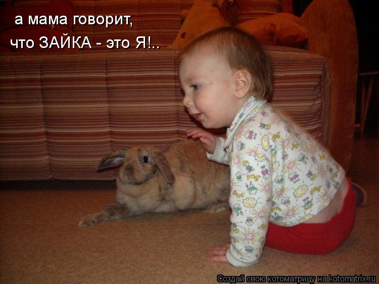 а мама говорит, что ЗАЙКА - это Я!..... Котоматрица: а мама говорит, что ЗАЙКА - это Я!..