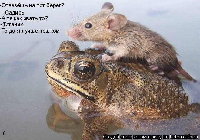 -Садись -А тя как звать то? -Титаник -Отвезёшь на тот берег? -Тогда я лучше пешком... Котоматрица: -Садись -А тя как звать то? -Титаник -Отвезёшь на тот берег? -Тогда я лучше пешком