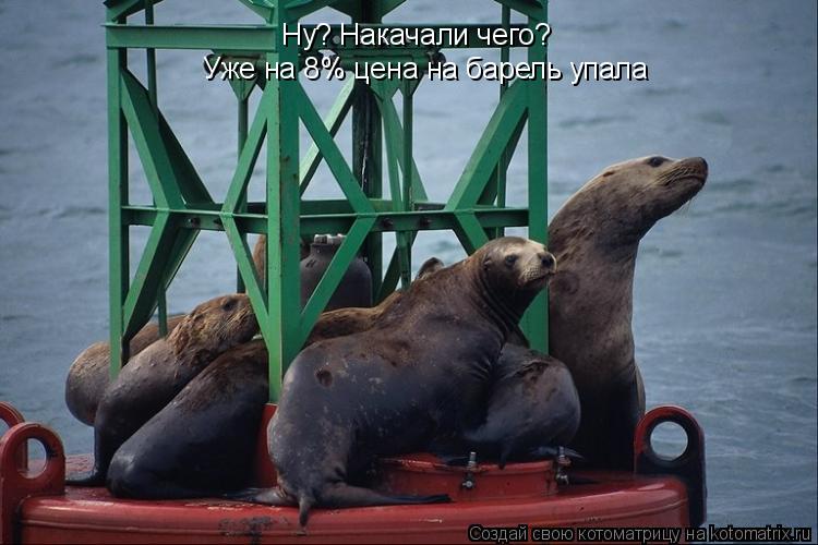 Ну? Накачали чего? Ну? Накачали чего? Уже на 8% цена на барель упала... Котоматрица: Ну? Накачали чего? Ну? Накачали чего? Уже на 8% цена на барель упала