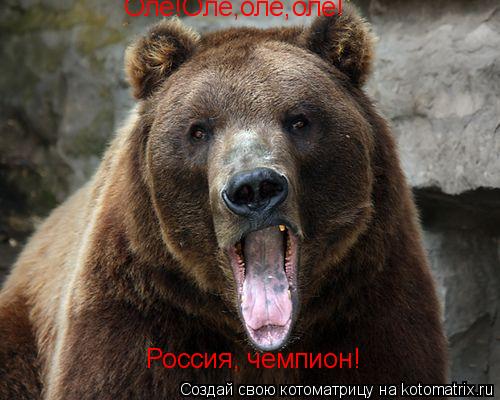 Котоматрица: Оле!Оле,оле,оле! Россия, чемпион!